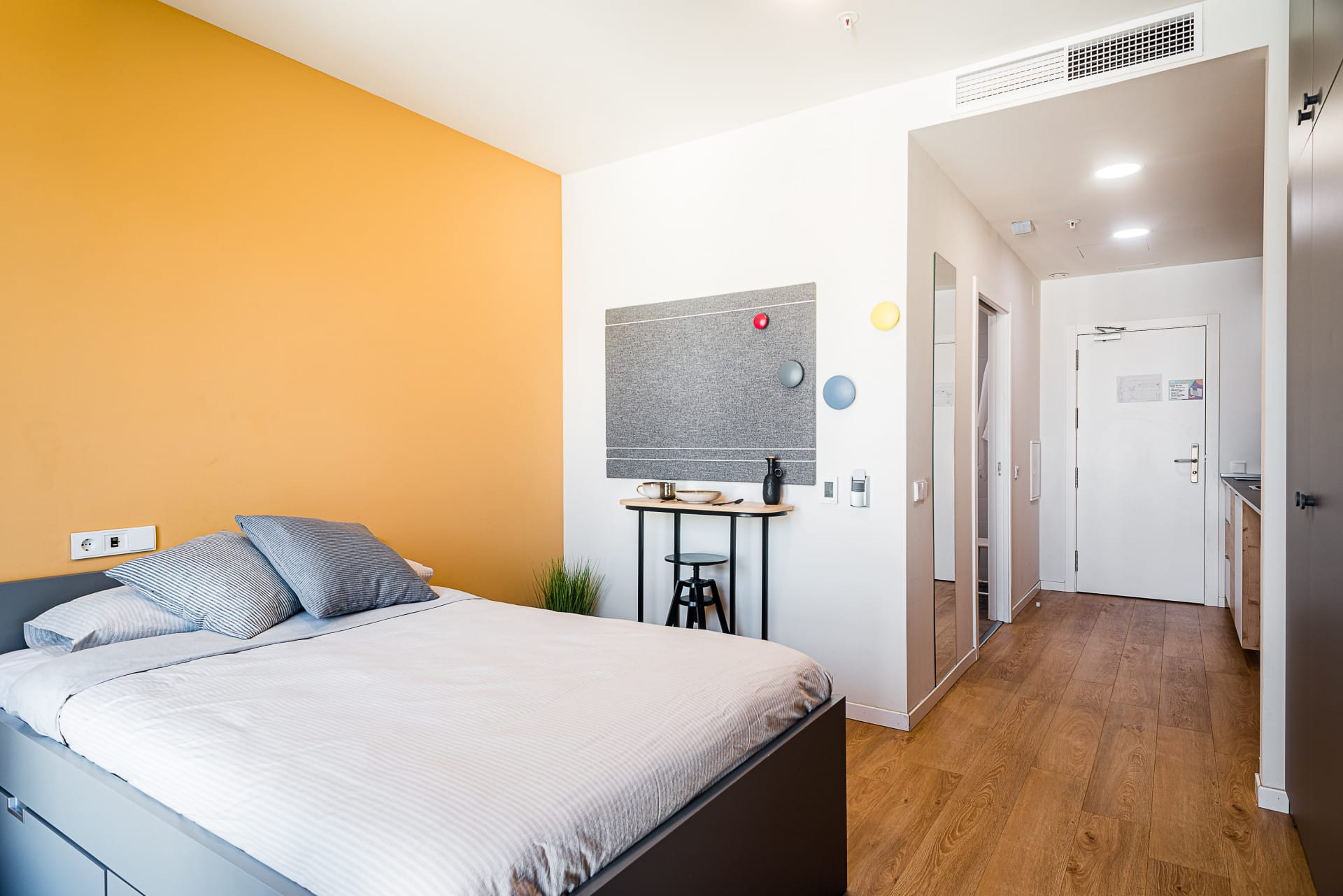 Premium Studio 10