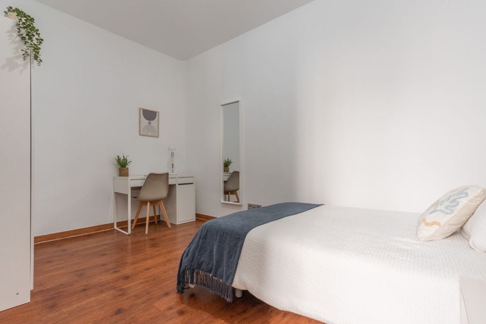 Large double room in Madrid