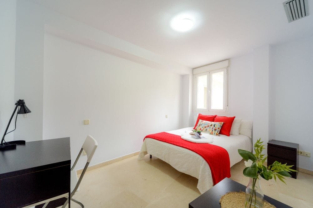 Great modern room in Bordadores