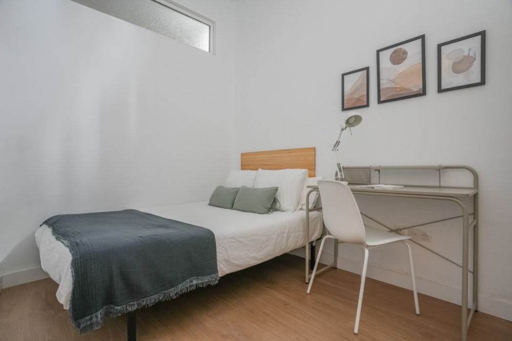 Cozy room in Ventura Rodriguez