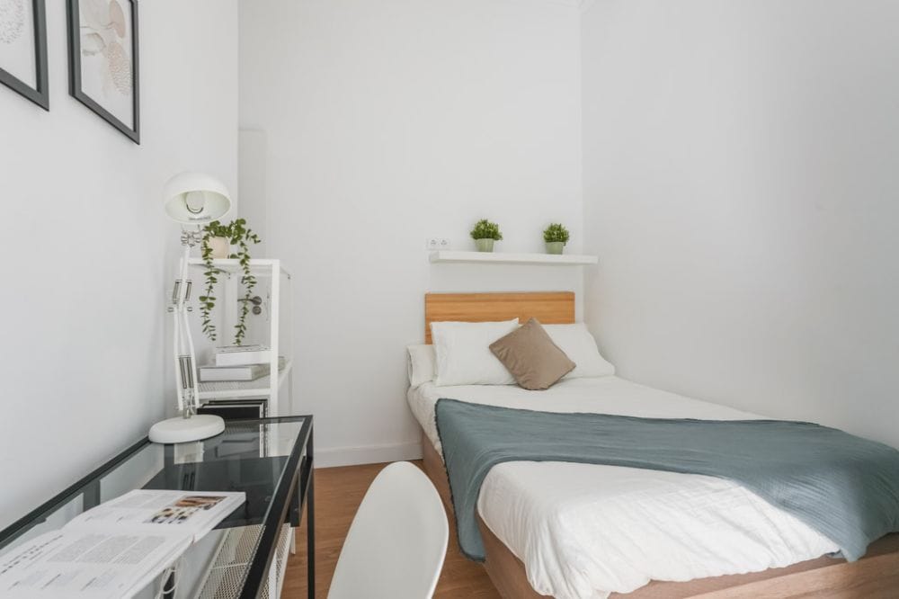 Bright and modern room in Ventura Rodriguez