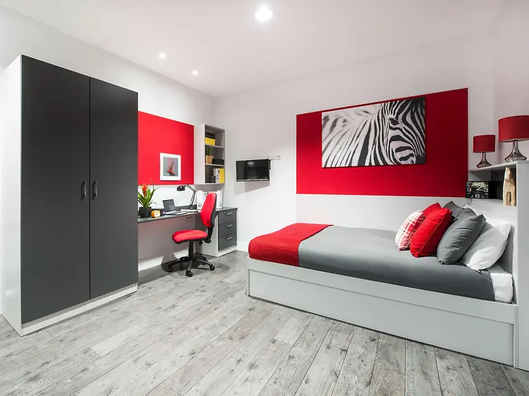 Standard Studio Unit 5