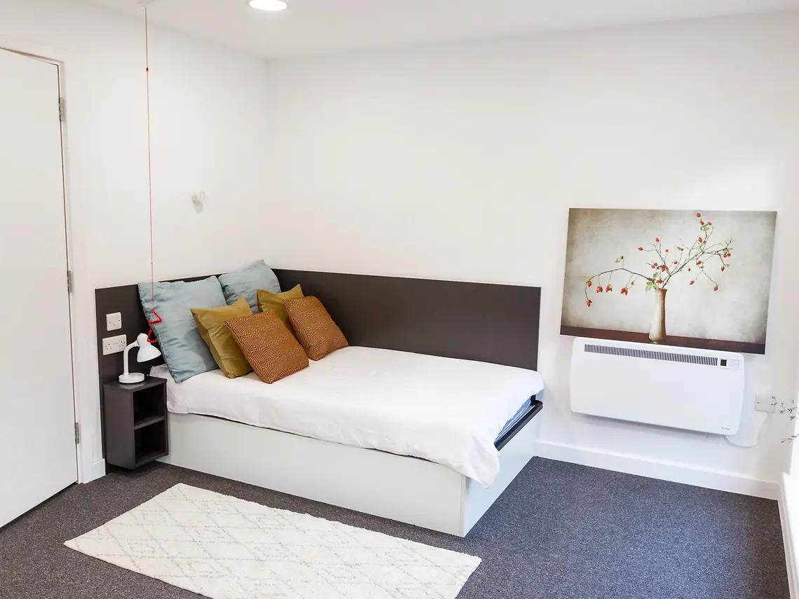 Large Premium Studio Accessible Unit 5