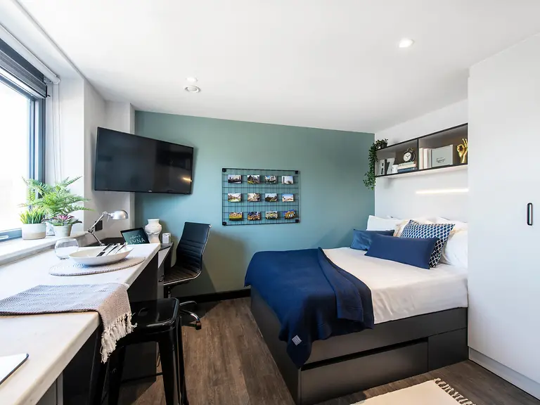 Standard Studio Unit 5