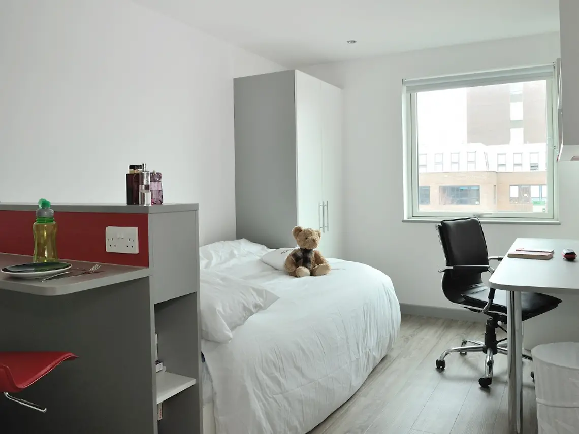 Premium Studio Unit 5