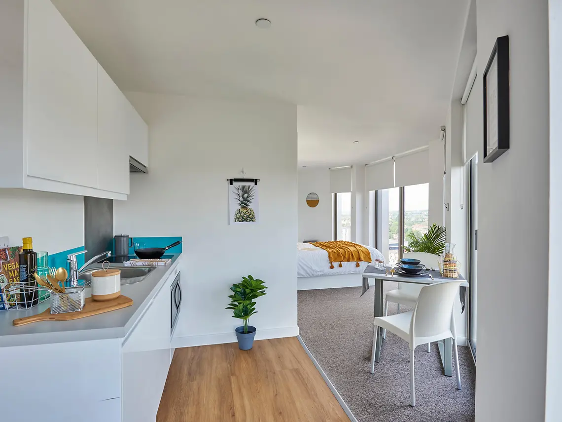 Platinum Penthouse Unit 5