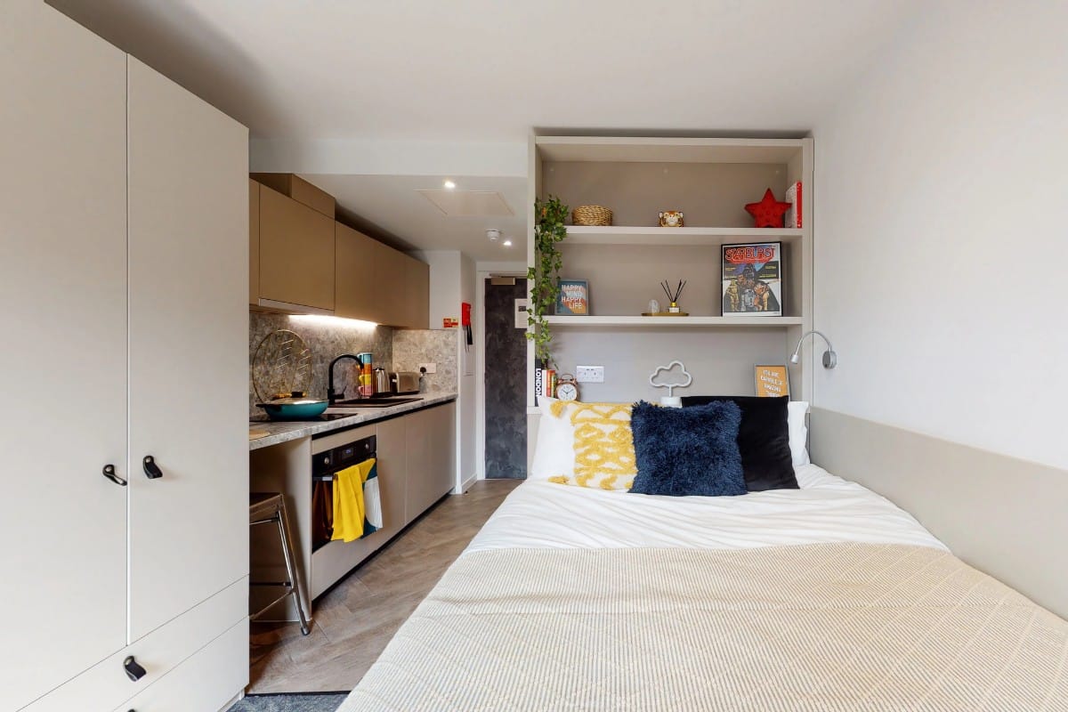 Bronze Studio Penthouse 5