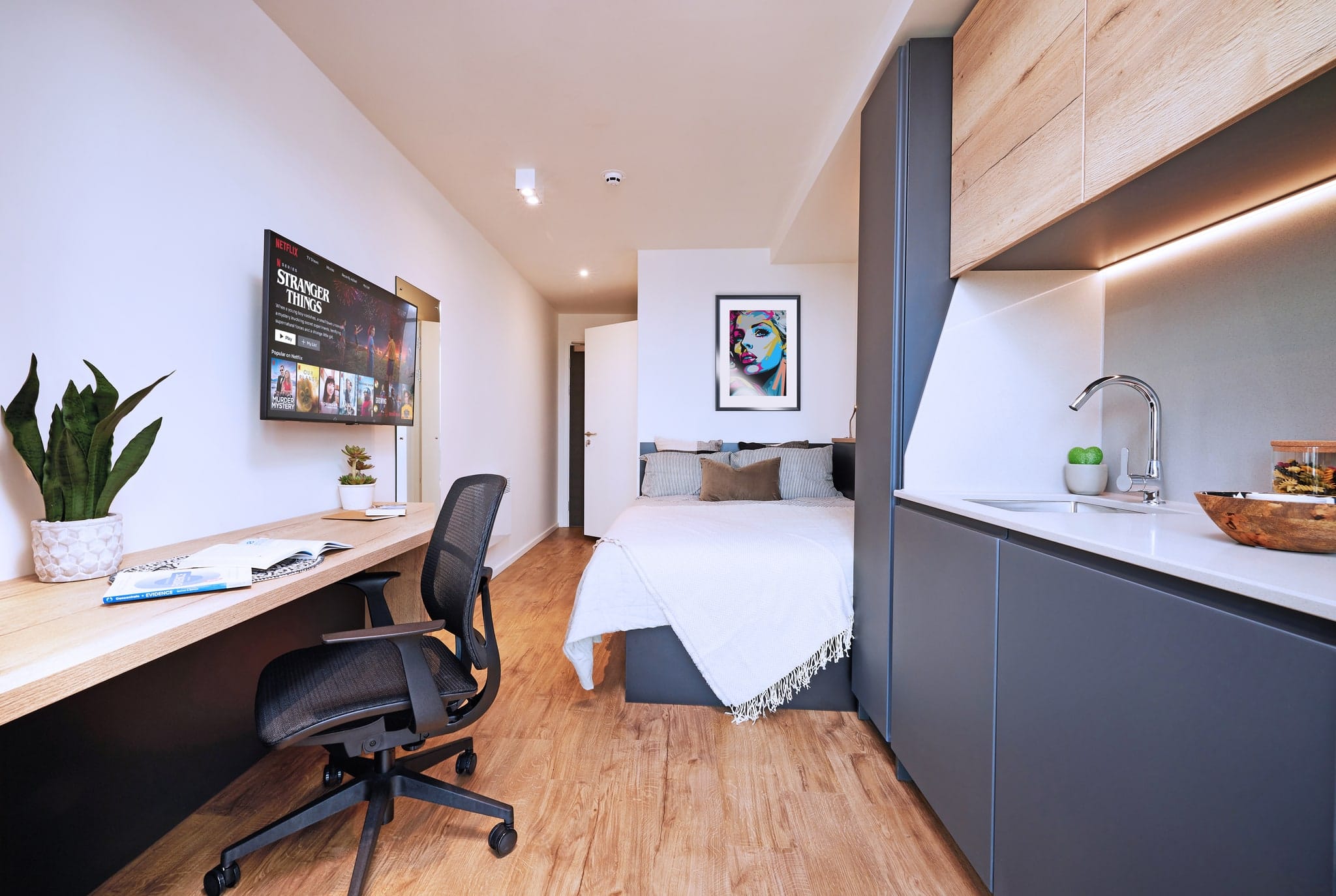 CT-B607 — Lite Plus (2026 / 27)