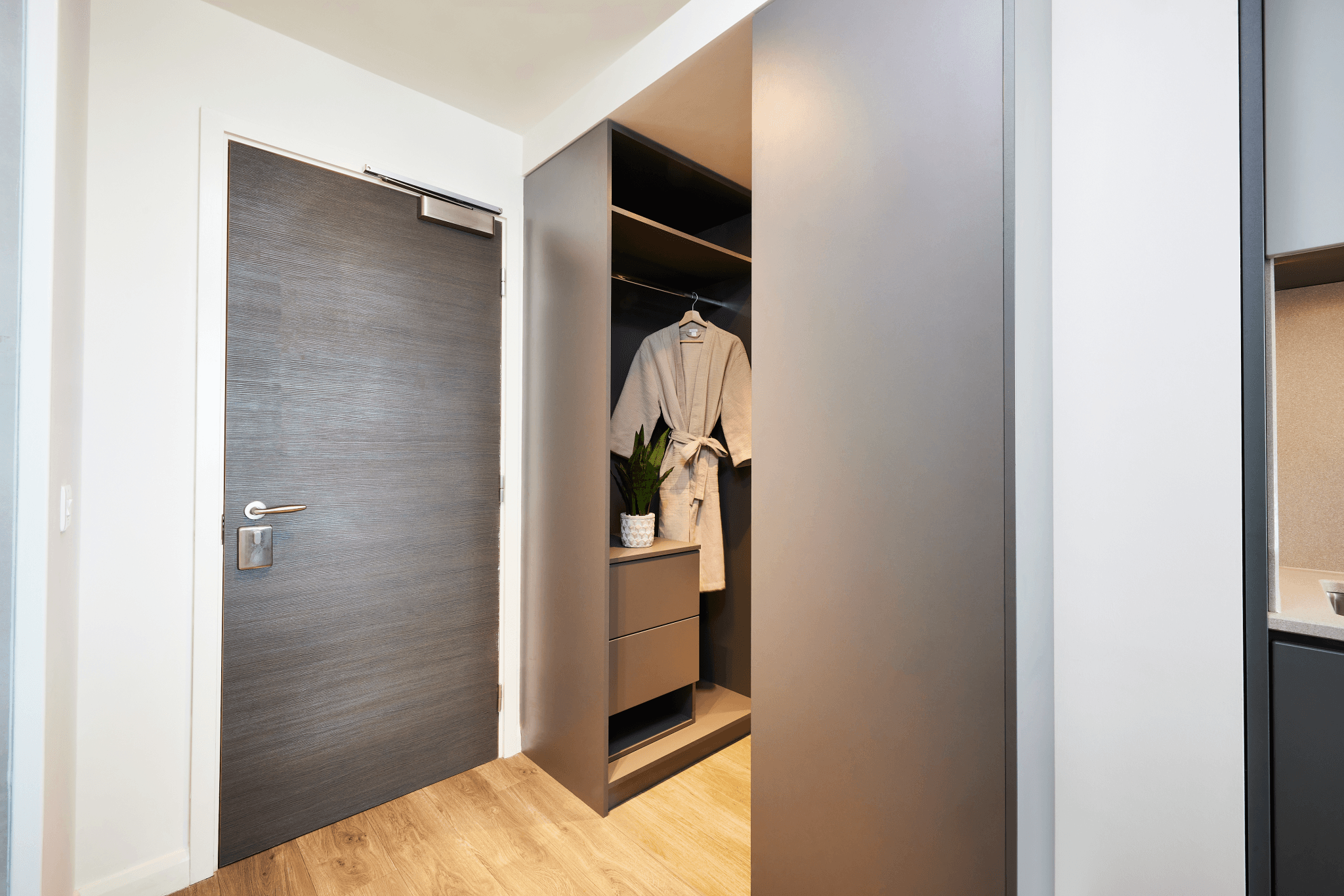 SP-429 — Deluxe (2026 / 27)